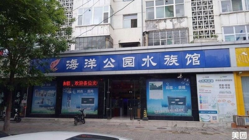 龍族聯盟論壇的熱門話題，龍族聯盟論壇熱門話題