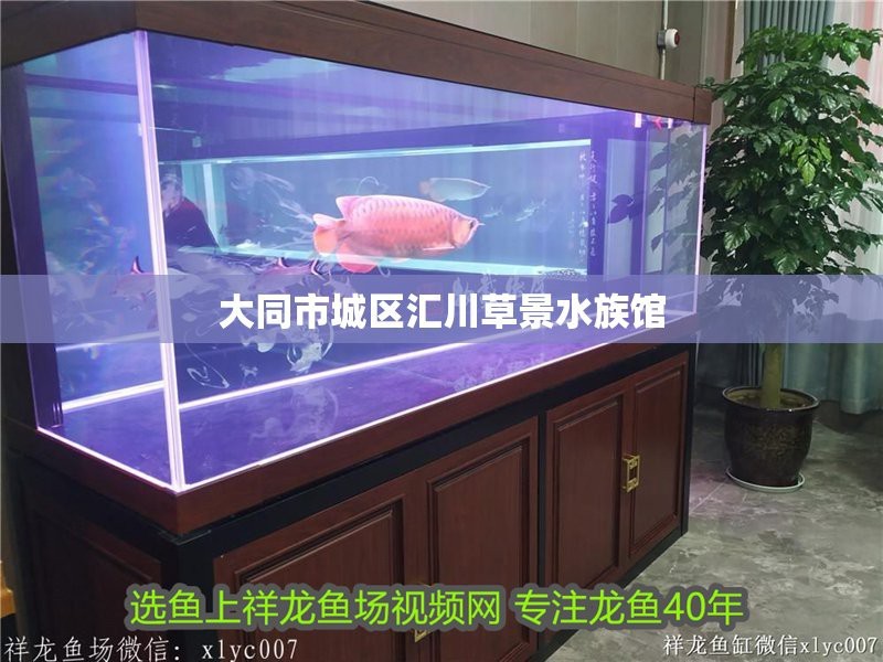 匯川水族店|天津匯川水族生態(tài)之美——城區(qū)特色水族館