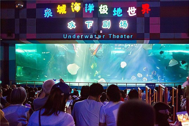 齊河水族店|齊河縣哪家水族店口碑最好