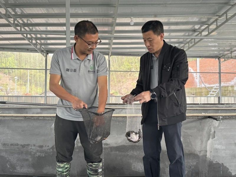 遂昌龍魚店|焦灘魚頭一條街的具體地址在哪里遂昌吃魚啦~錢江晚報