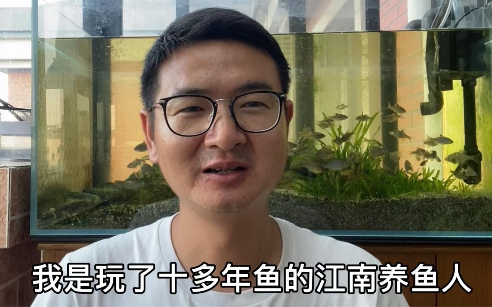 如何預防金魚炸鱗？|如何預防金魚炸鱗