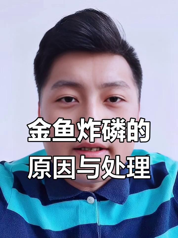 如何預防金魚炸鱗？|如何預防金魚炸鱗