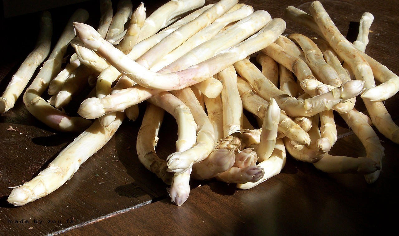 鱘龍魚可以吃嗎犯法嗎|2&gt鱘龍魚屬于受保護物種因禁止食用