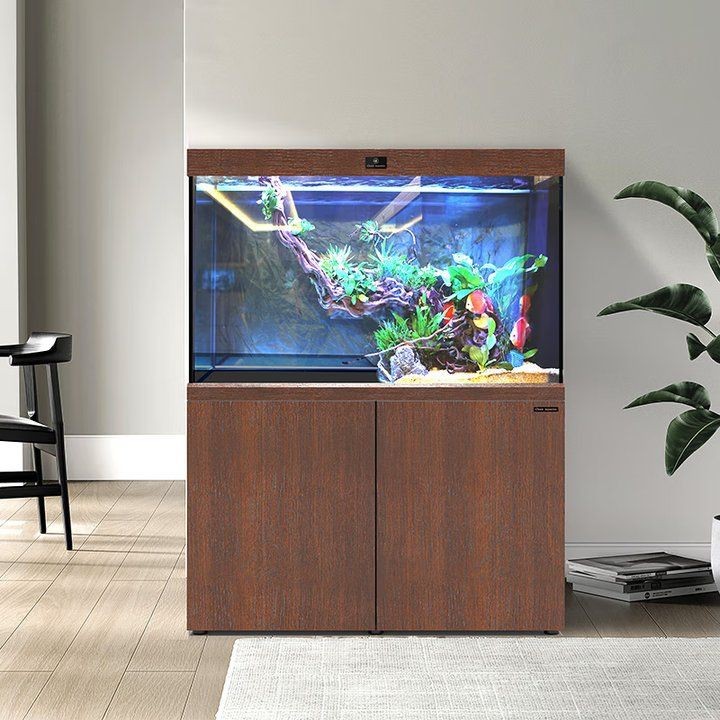 可麗愛魚缸CD好D系列區別|京東可麗愛魚缸排行榜 可麗愛魚缸CD好D系列區別|京東可麗愛魚缸排行榜 龍魚百科 第3張