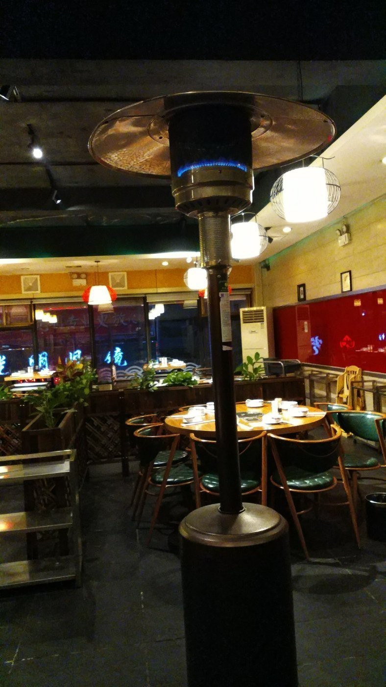 澗西龍魚店|洛陽市澗西區(qū)有哪些與龍魚相關的店鋪？