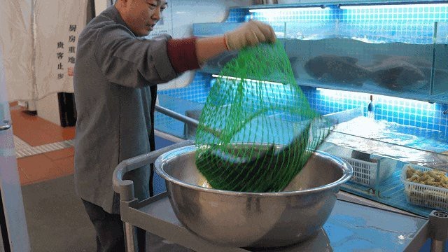 碭山龍魚店|碭山龍魚店哪家最好