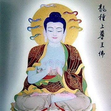 龍是什么佛的化身|龍是什么佛的化身， 龍是什么佛的化身|龍是什么佛的化身， 龍魚百科 第2張