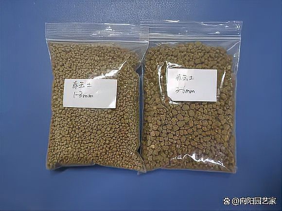 什么土可以代替赤玉土呢|向陽園藝，扦插月季不生根，黑桿用這種“神奇土”,10天生根