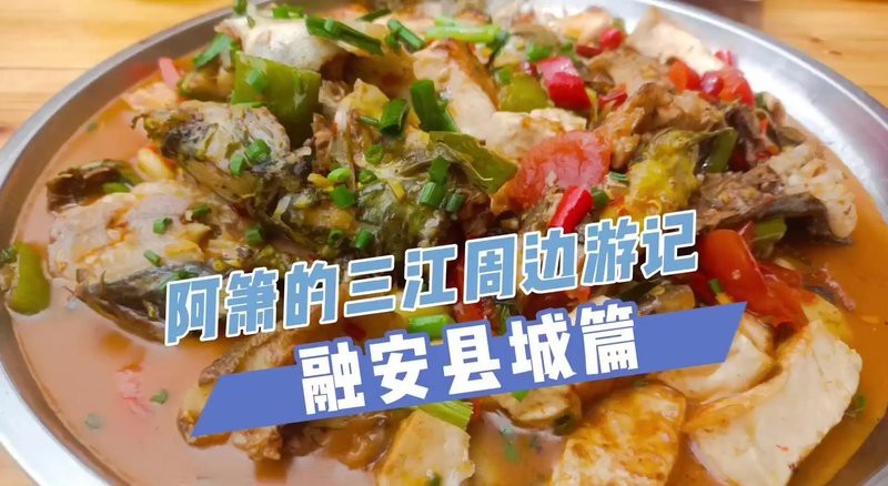 融安龍魚店|廣州融安龍魚店 融安龍魚店|廣州融安龍魚店 全國水族館企業(yè)名錄 第2張