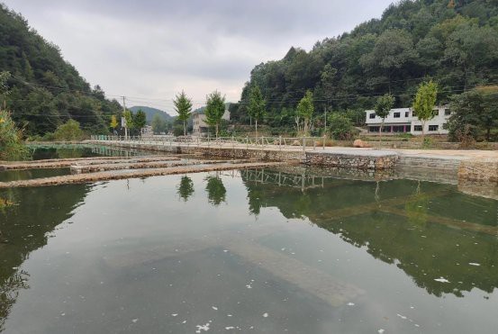 惠水龍魚店|惠水縣人民政府惠水龍魚店營業時間如何？