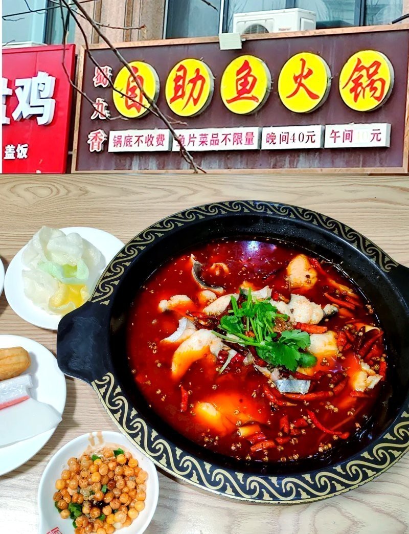 石河子龍魚店|石河子市祥龍水族館主營觀賞魚銷售及魚缸設計服務