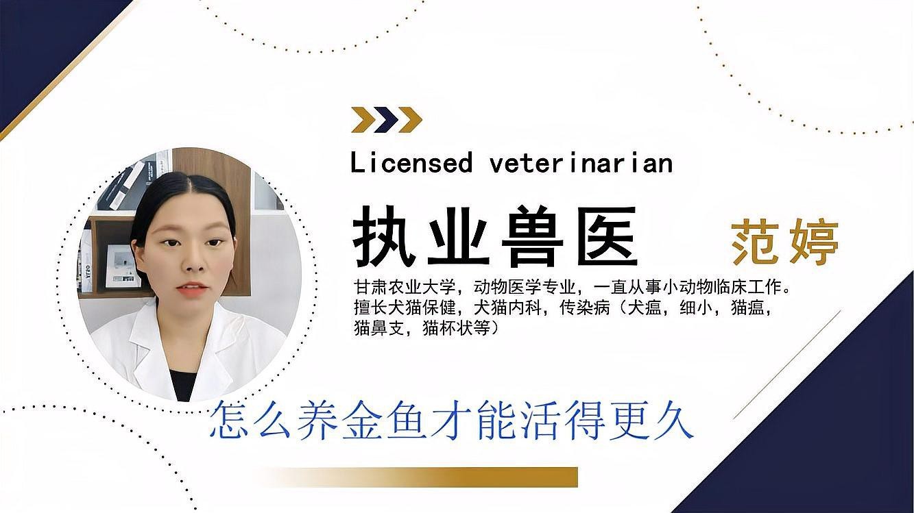 有哪些方法可以延長黑龍睛金魚的壽命？|《延長黑龍睛金魚壽命的方法》