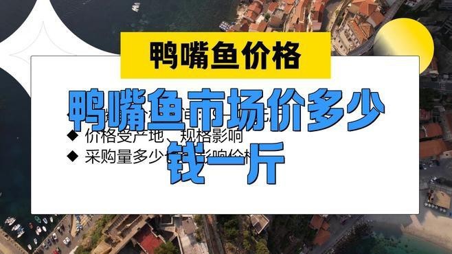 淡水鴨嘴魚多少錢一斤|淡水鴨嘴魚價格一般多少錢一斤