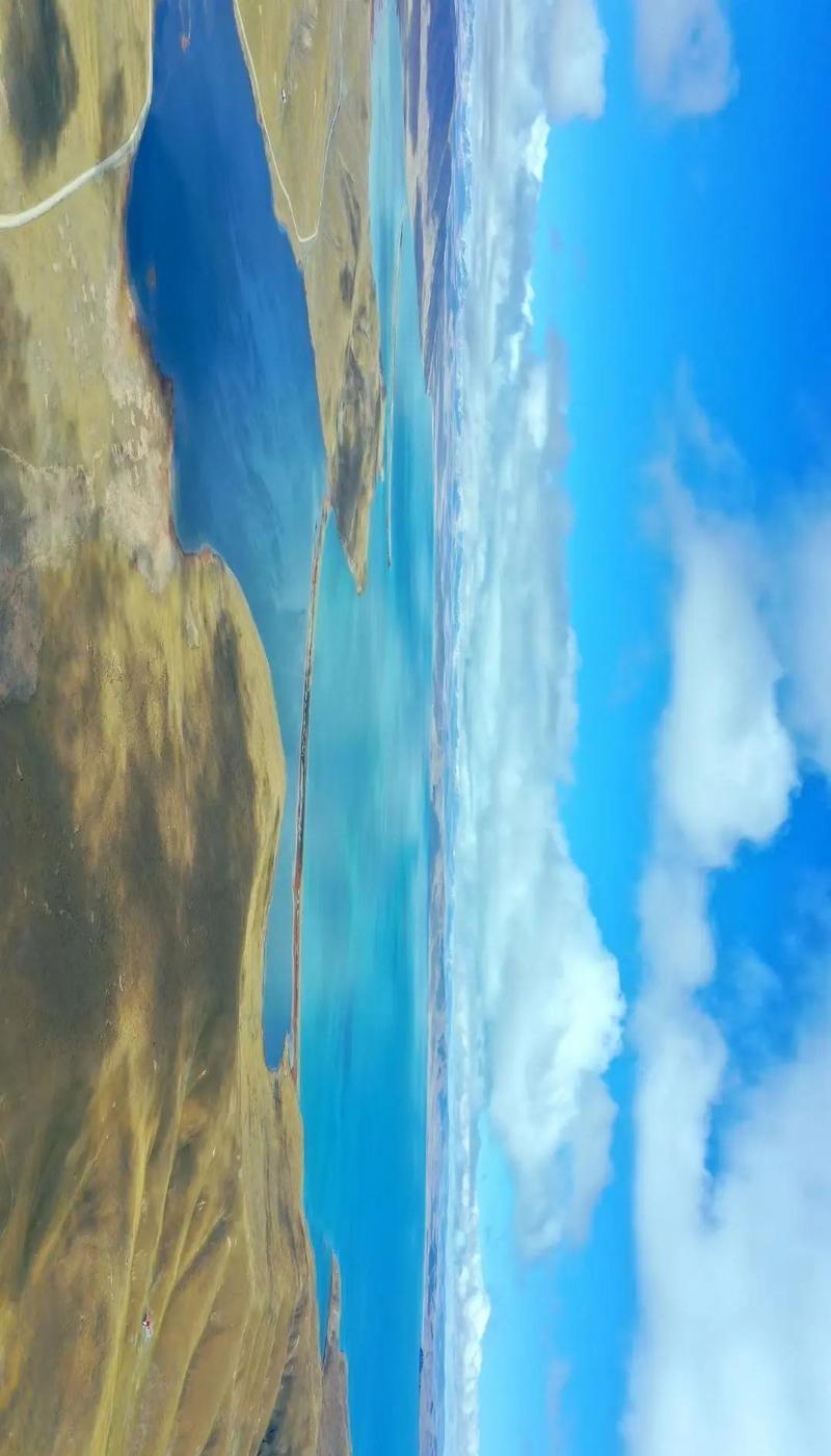 瑪多水族店|瑪多水族店開業(yè)啦