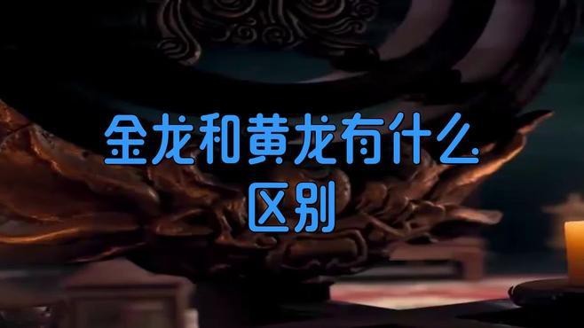 請再詳細描述一下黃龍和金龍的形態特征|黃龍與金龍在形態特征上差異主要體現在以下方面