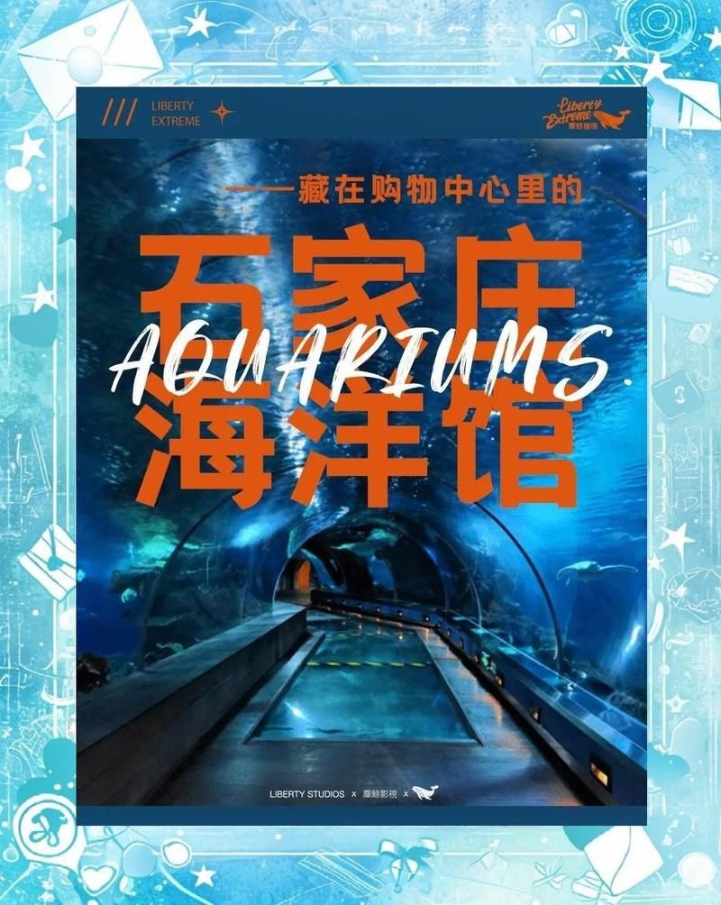 石家莊水族店|石家莊森森水族（龍橋街店）位于河北省石家莊市贊皇縣龍橋街店