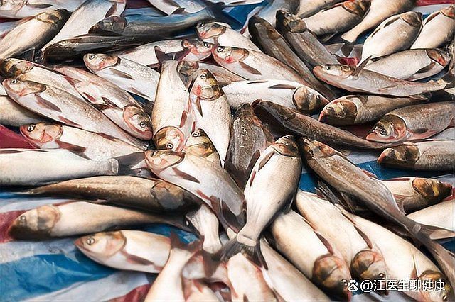 金鯧魚為何盡量少吃|金鯧魚為什么要少吃 金鯧魚為何盡量少吃|金鯧魚為什么要少吃 龍魚百科 第11張