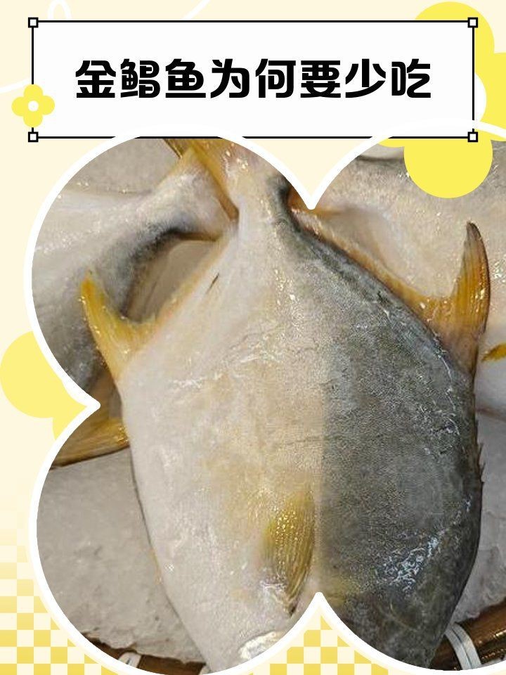 金鯧魚為何盡量少吃|金鯧魚為什么要少吃 金鯧魚為何盡量少吃|金鯧魚為什么要少吃 龍魚百科 第17張