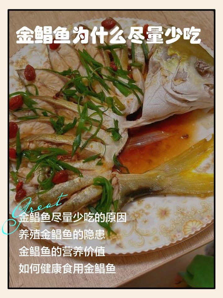金鯧魚為何盡量少吃|金鯧魚為什么要少吃 金鯧魚為何盡量少吃|金鯧魚為什么要少吃 龍魚百科 第23張