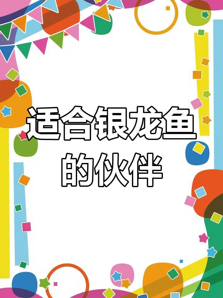 銀龍魚和什么魚混養比較好？|銀龍魚混養最佳搭配及注意事項銀龍最佳搭配及注意事項
