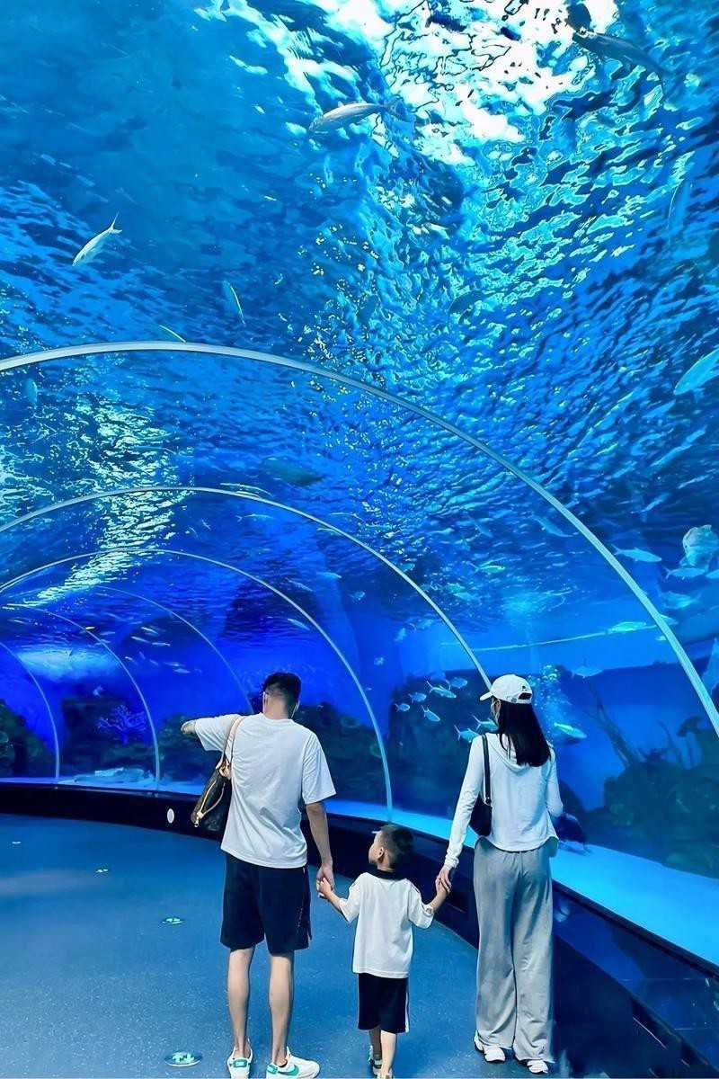 隆堯水族店|邢臺隆堯縣水族館