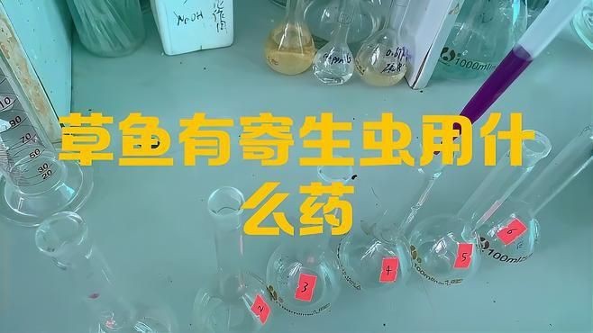 哪些中藥對魚寄生蟲有效？|搜狐新聞魚身體有蟲子怎么治漁業衛士草魚有寄生蟲用什么藥農業智者