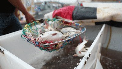 龍亭龍魚店|開封美食探秘：回味小魚館