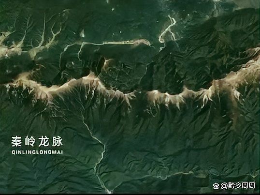 龍脈吉兇圖解有哪些禁忌|龍脈吉兇圖解中的禁忌 龍脈吉兇圖解有哪些禁忌|龍脈吉兇圖解中的禁忌 龍魚百科 第3張