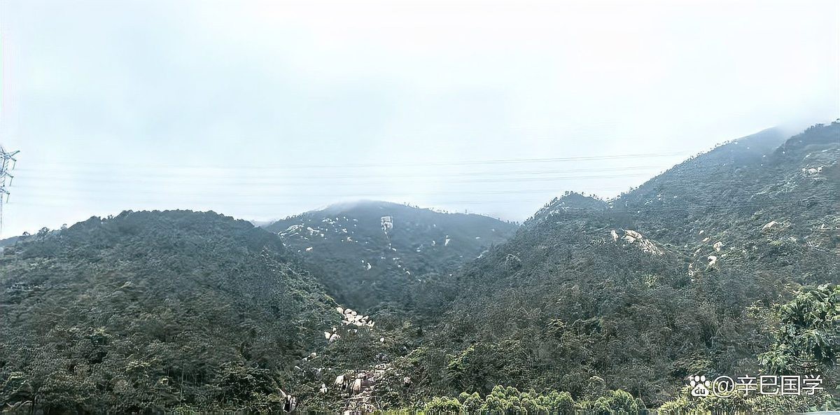 龍脈吉兇圖解有哪些禁忌|龍脈吉兇圖解中的禁忌 龍脈吉兇圖解有哪些禁忌|龍脈吉兇圖解中的禁忌 龍魚百科 第4張