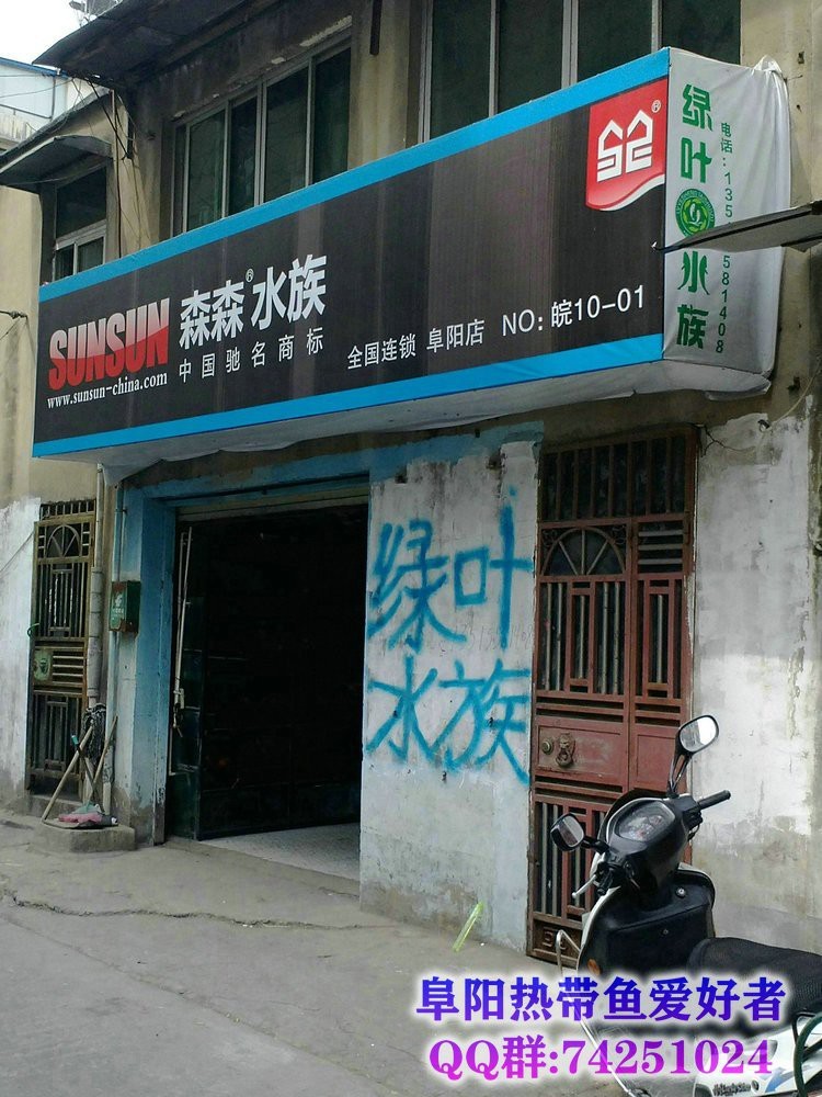 阜陽水族店|阜陽有哪些水族店