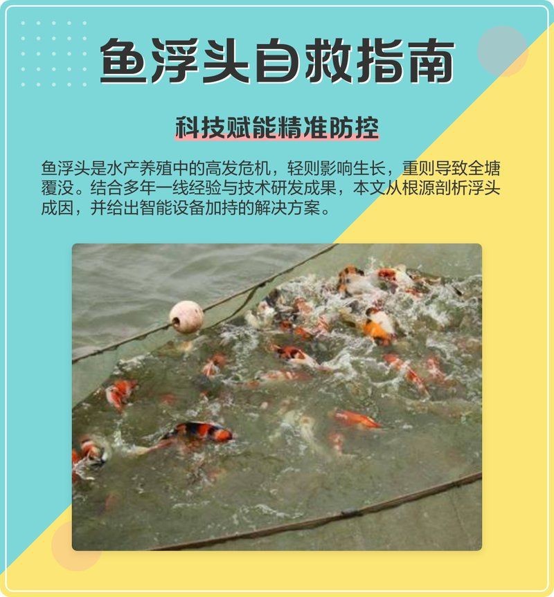 哪些藥物可能導(dǎo)致魚浮頭？|水產(chǎn)養(yǎng)殖中，藥物使用不當(dāng)易引發(fā)魚浮頭現(xiàn)象