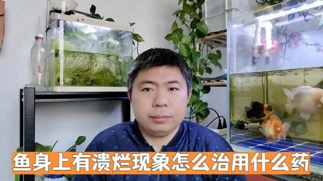龍魚皮膚潰爛的5種癥狀|龍魚爛身病-由水質引起的龍魚疾病 龍魚皮膚潰爛的5種癥狀|龍魚爛身病-由水質引起的龍魚疾病 龍魚百科 第12張