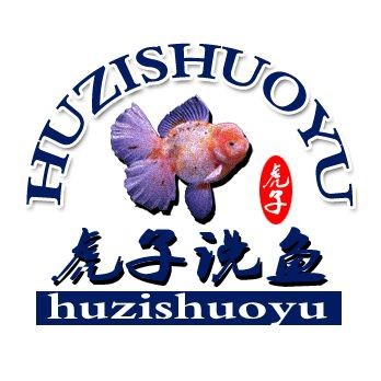 龍魚皮膚潰爛的5種癥狀|龍魚爛身病-由水質引起的龍魚疾病 龍魚皮膚潰爛的5種癥狀|龍魚爛身病-由水質引起的龍魚疾病 龍魚百科 第13張