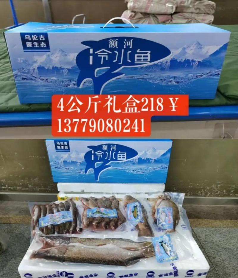 福海魚(yú)圖片及價(jià)格|新疆福海冬捕節(jié)頭魚(yú)拍賣(mài)價(jià)刷新歷史新高