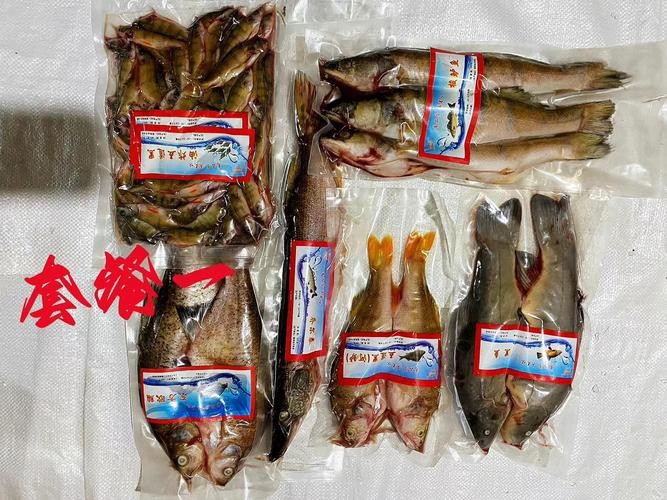 福海魚(yú)圖片及價(jià)格|新疆福海冬捕節(jié)頭魚(yú)拍賣(mài)價(jià)刷新歷史新高