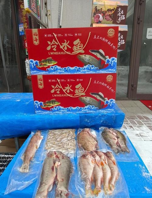 福海魚(yú)圖片及價(jià)格|新疆福海冬捕節(jié)頭魚(yú)拍賣(mài)價(jià)刷新歷史新高
