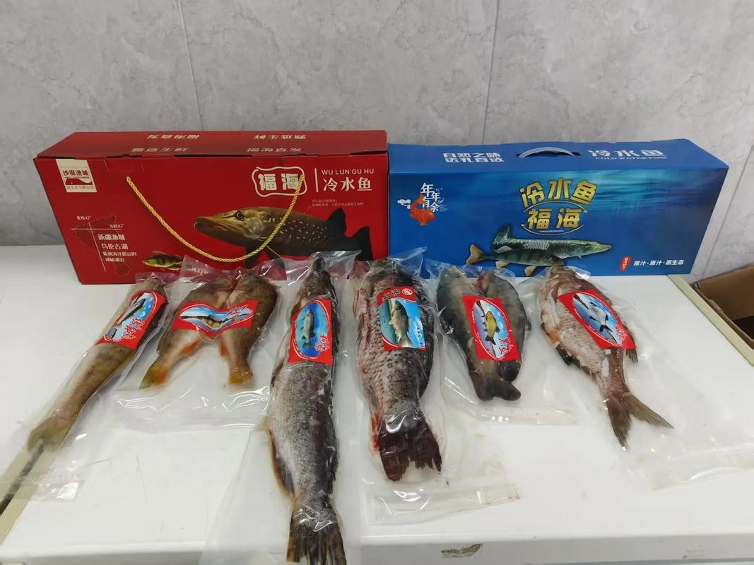 福海魚(yú)圖片及價(jià)格|新疆福海冬捕節(jié)頭魚(yú)拍賣(mài)價(jià)刷新歷史新高