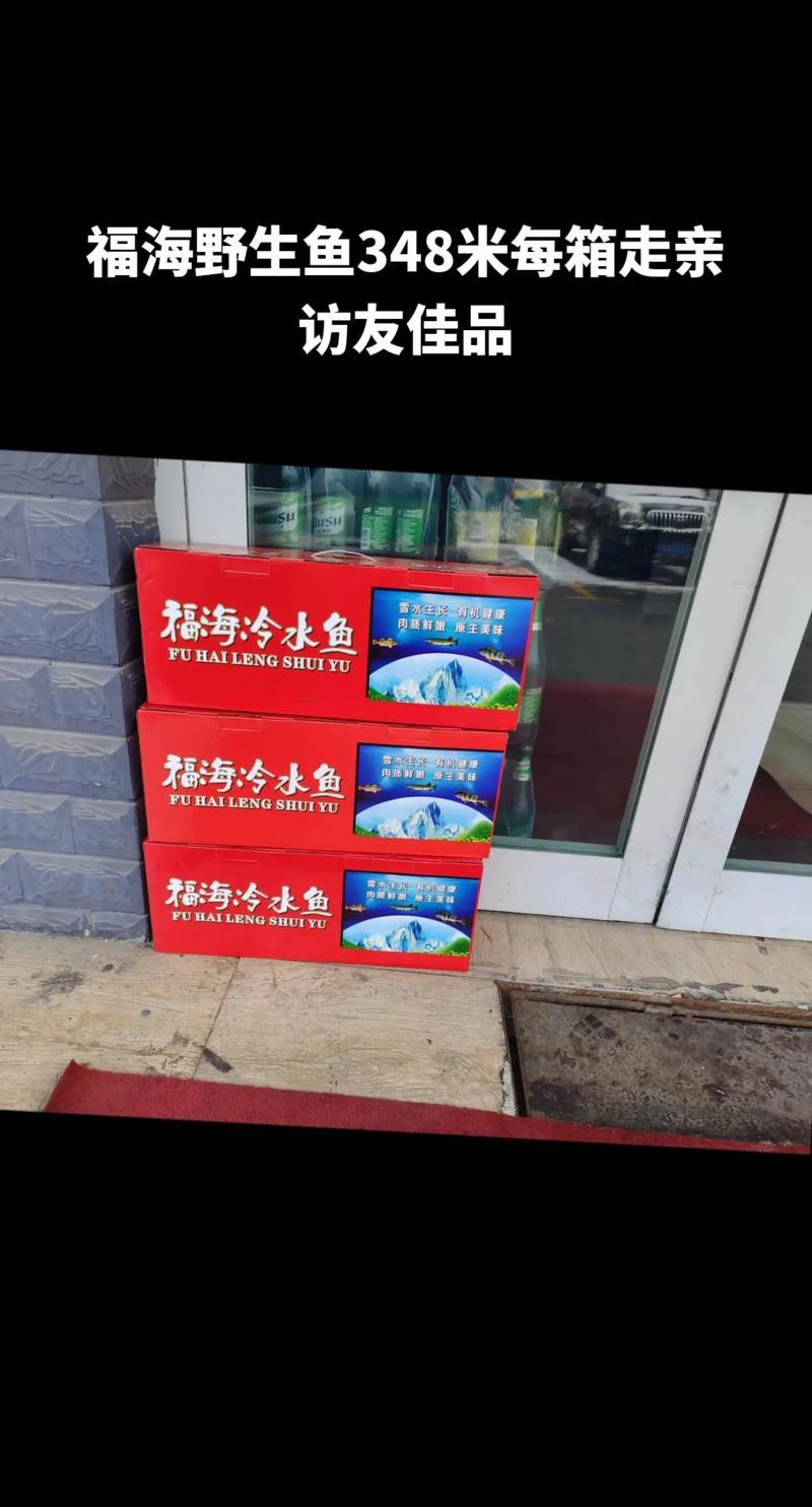 福海魚(yú)圖片及價(jià)格|新疆福海冬捕節(jié)頭魚(yú)拍賣(mài)價(jià)刷新歷史新高