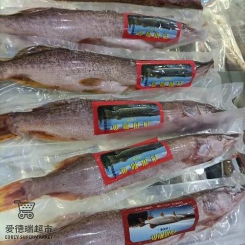 福海魚(yú)圖片及價(jià)格|新疆福海冬捕節(jié)頭魚(yú)拍賣(mài)價(jià)刷新歷史新高
