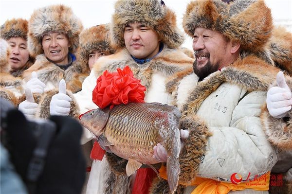 福海魚(yú)圖片及價(jià)格|新疆福海冬捕節(jié)頭魚(yú)拍賣(mài)價(jià)刷新歷史新高