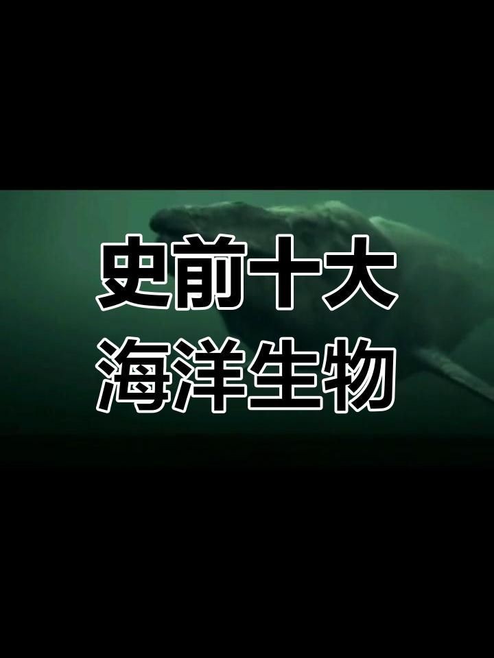 克柔龍和滄龍的區別|克柔龍與滄龍的較量 克柔龍和滄龍的區別|克柔龍與滄龍的較量 龍魚百科 第1張
