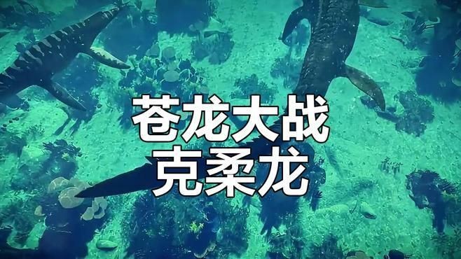 克柔龍和滄龍的區別|克柔龍與滄龍的較量 克柔龍和滄龍的區別|克柔龍與滄龍的較量 龍魚百科 第4張