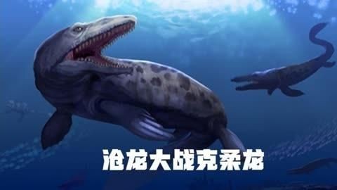 克柔龍和滄龍的區別|克柔龍與滄龍的較量 克柔龍和滄龍的區別|克柔龍與滄龍的較量 龍魚百科 第2張