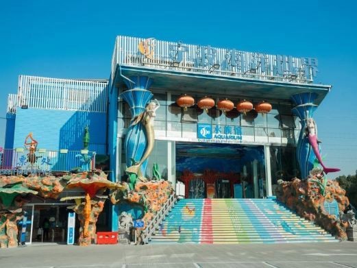鄞州水族店|如何在海洋世界拍出驚艷大片秘訣 鄞州水族店|如何在海洋世界拍出驚艷大片秘訣 全國水族館企業名錄 第2張
