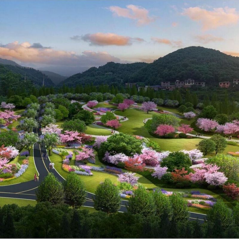 花博園景點介紹|中梁山花博園游記