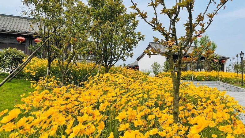 花博園景點介紹|中梁山花博園游記