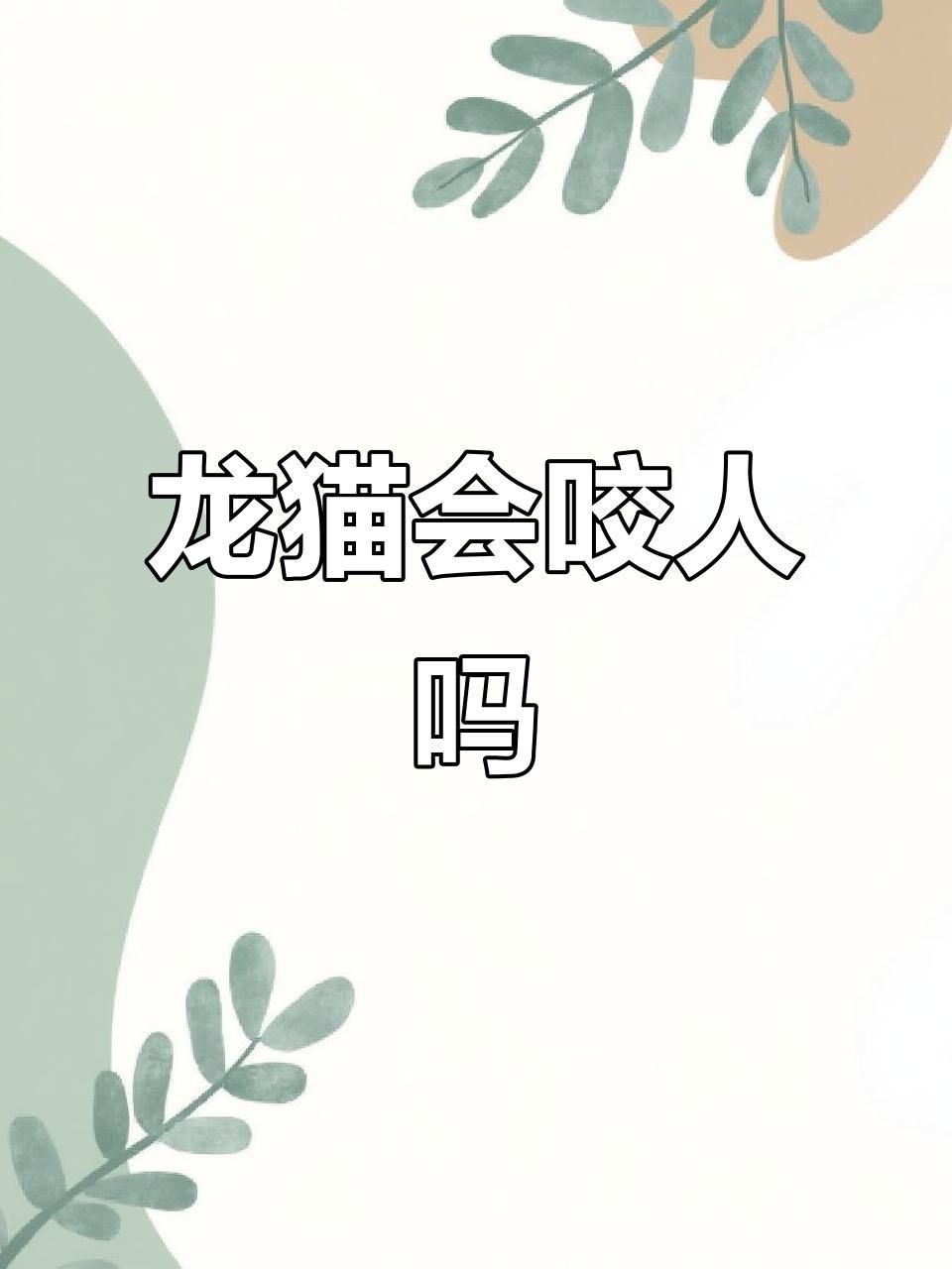 龍貓好養嗎 咬人嗎|寵物龍貓會不會咬人