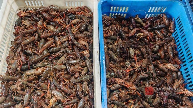 駐馬店水族店|關于駐馬店水族店 駐馬店水族店|關于駐馬店水族店 全國水族館企業名錄 第1張