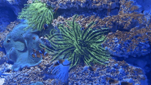玄武水族店|南京海底世界攜程旅行玄武水族店哪家口碑最好