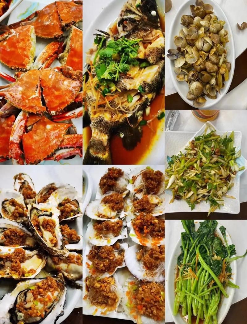 葫蘆島龍魚店【葫蘆島市龍港區(qū)與“龍魚”相關的餐飲及商業(yè)信息】